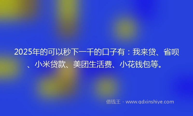 2025年的可以秒下一千的口子有：我来贷、省呗、小米贷款、美团生活费、小花钱包等。