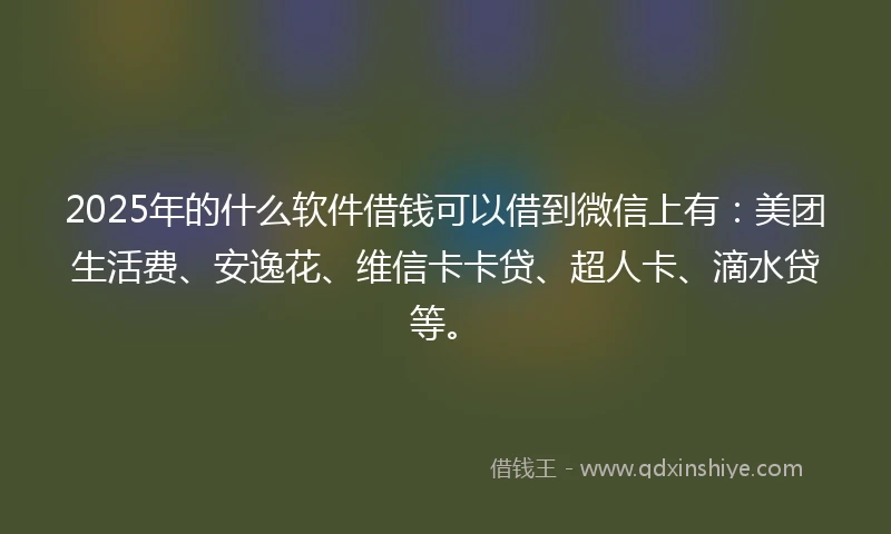 2025年的什么软件借钱可以借到微信上有：美团生活费、安逸花、维信卡卡贷、超人卡、滴水贷等。