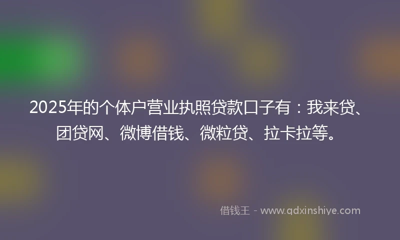 2025年的个体户营业执照贷款口子有：我来贷、团贷网、微博借钱、微粒贷、拉卡拉等。
