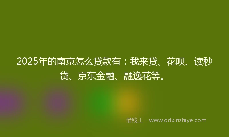 2025年的南京怎么贷款有：我来贷、花呗、读秒贷、京东金融、融逸花等。