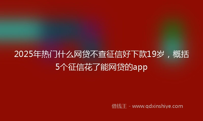 2025年热门什么网贷不查征信好下款19岁，概括5个征信花了能网贷的app