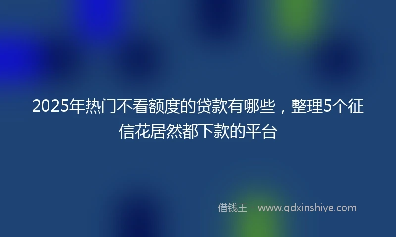 2025年热门不看额度的贷款有哪些，整理5个征信花居然都下款的平台