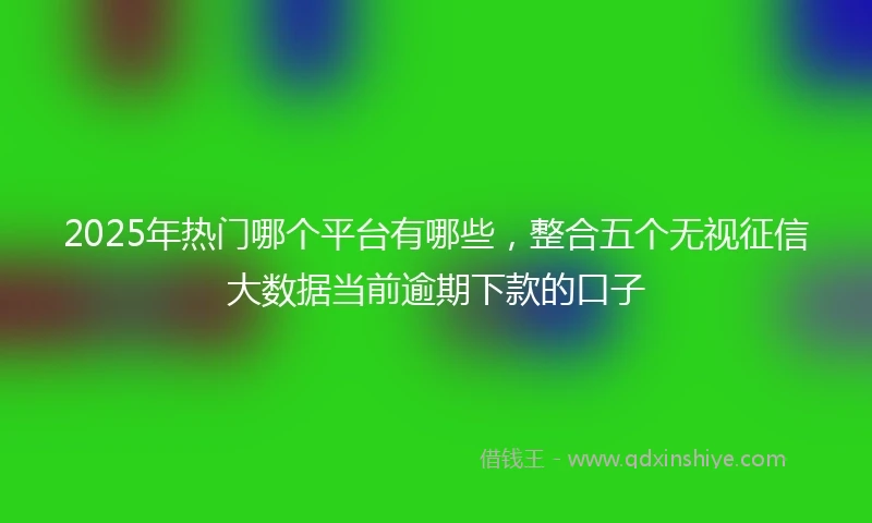 2025年热门哪个平台有哪些，整合五个无视征信大数据当前逾期下款的口子