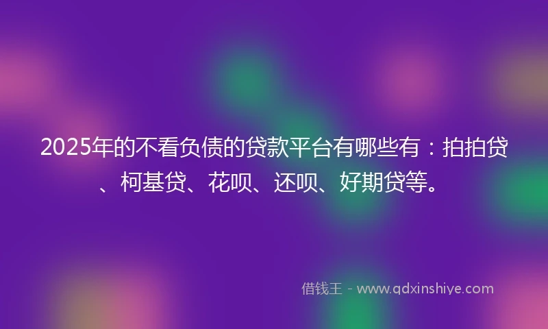 2025年的不看负债的贷款平台有哪些有：拍拍贷、柯基贷、花呗、还呗、好期贷等。