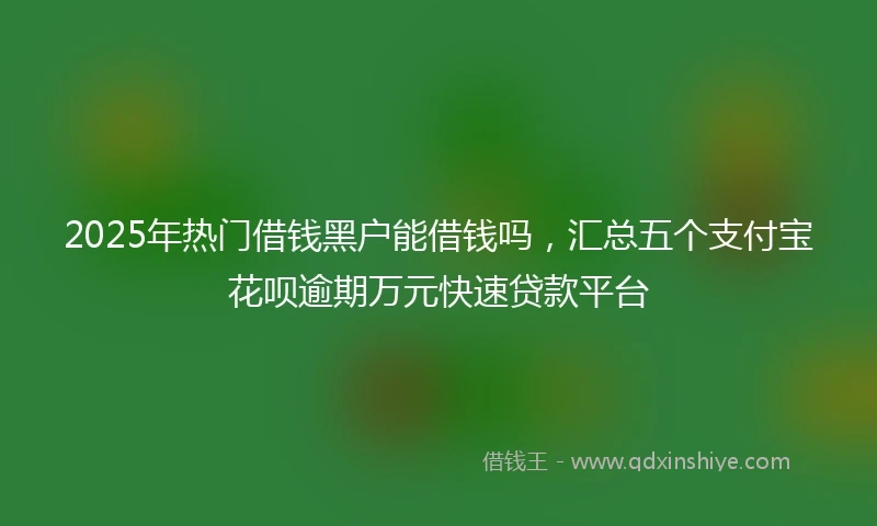 2025年热门借钱黑户能借钱吗，汇总五个支付宝花呗逾期万元快速贷款平台