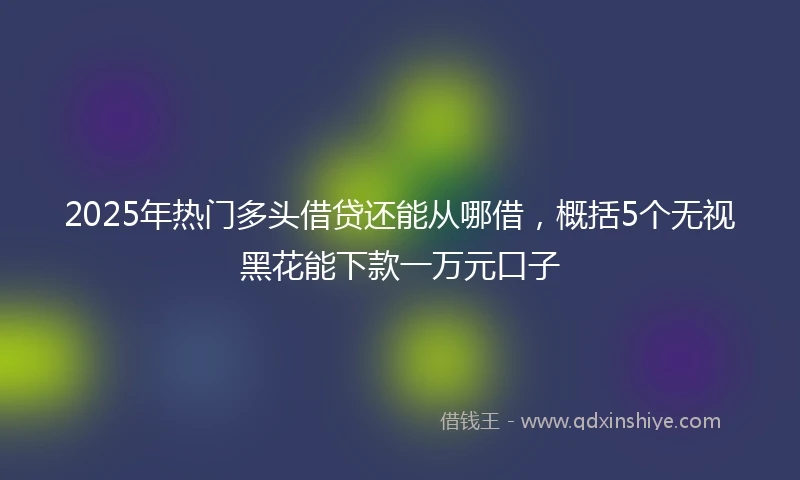 2025年热门多头借贷还能从哪借，概括5个无视黑花能下款一万元口子