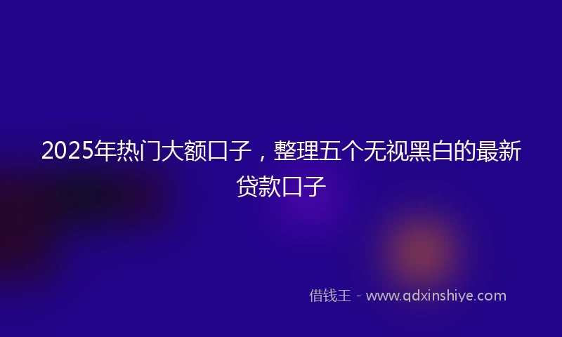 2025年热门大额口子，整理五个无视黑白的最新贷款口子