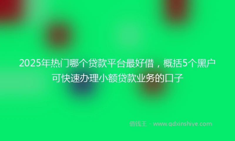 2025年热门哪个贷款平台最好借，概括5个黑户可快速办理小额贷款业务的口子