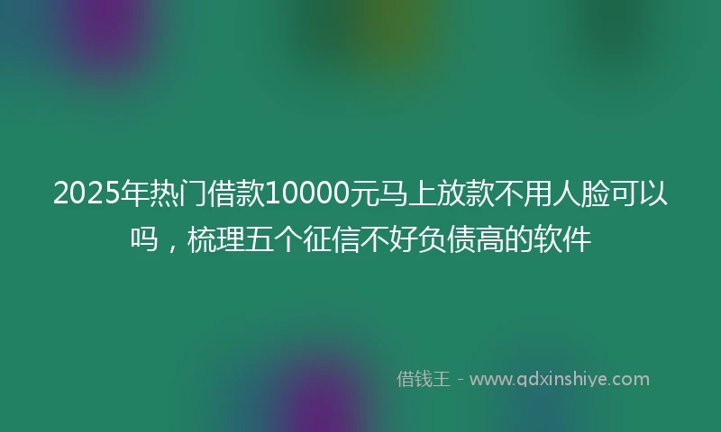 2025年热门借款10000元马上放款不用人脸可以吗，梳理五个征信不好负债高的软件