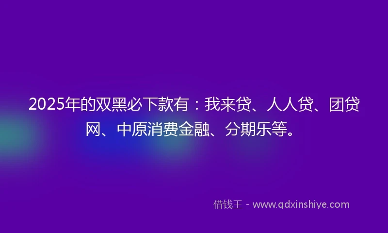 2025年的双黑必下款有：我来贷、人人贷、团贷网、中原消费金融、分期乐等。
