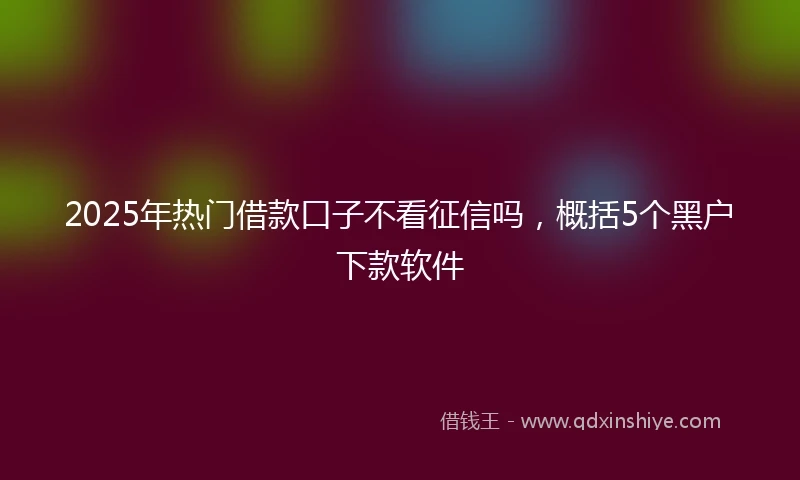 2025年热门借款口子不看征信吗，概括5个黑户下款软件