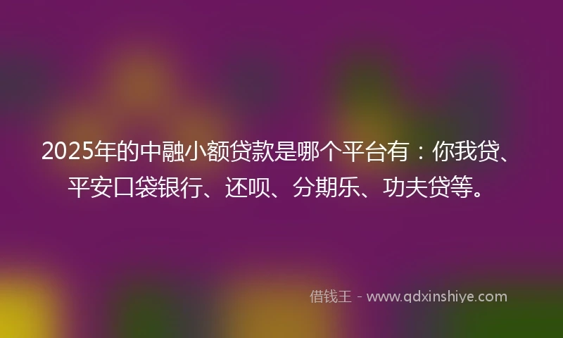 2025年的中融小额贷款是哪个平台有:你我贷、平安口袋银行、还呗、分期乐、功夫贷等。