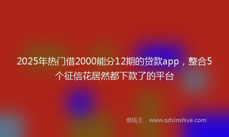 2025年热门借2000能分12期的贷款app，整合5个征信花居然都下款了的平台