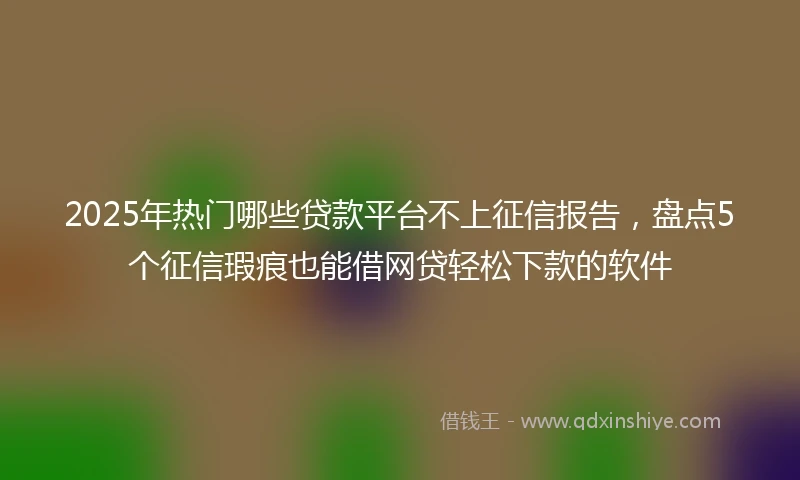 2025年热门哪些贷款平台不上征信报告，盘点5个征信瑕疵也能借网贷轻松下款的软件