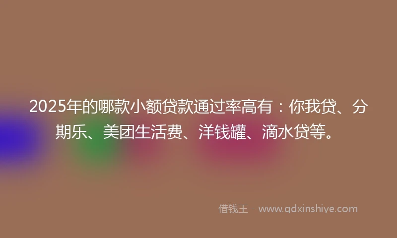 2025年的哪款小额贷款通过率高有：你我贷、分期乐、美团生活费、洋钱罐、滴水贷等。