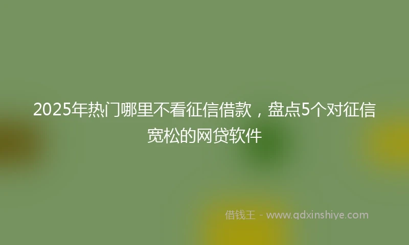 2025年热门哪里不看征信借款，盘点5个对征信宽松的网贷软件