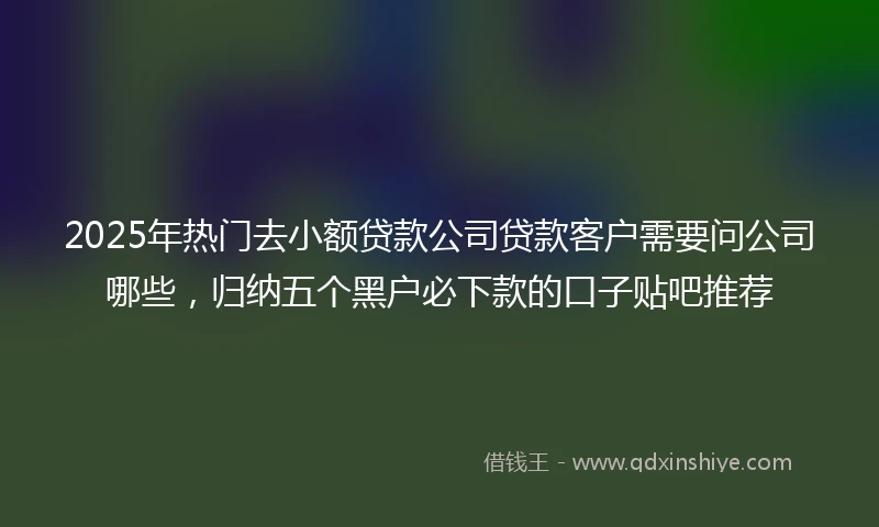 2025年热门去小额贷款公司贷款客户需要问公司哪些，归纳五个黑户必下款的口子贴吧推荐