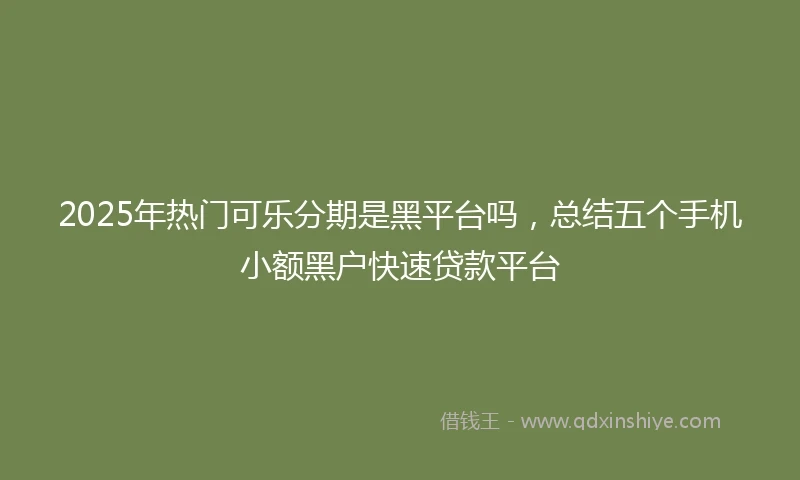 2025年热门可乐分期是黑平台吗，总结五个手机小额黑户快速贷款平台