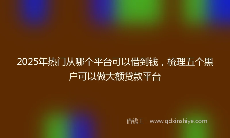 2025年热门从哪个平台可以借到钱，梳理五个黑户可以做大额贷款平台