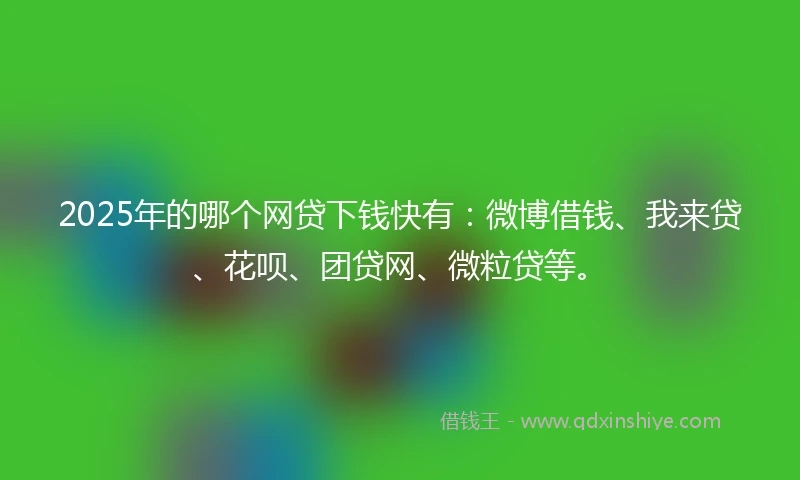 2025年的哪个网贷下钱快有：微博借钱、我来贷、花呗、团贷网、微粒贷等。