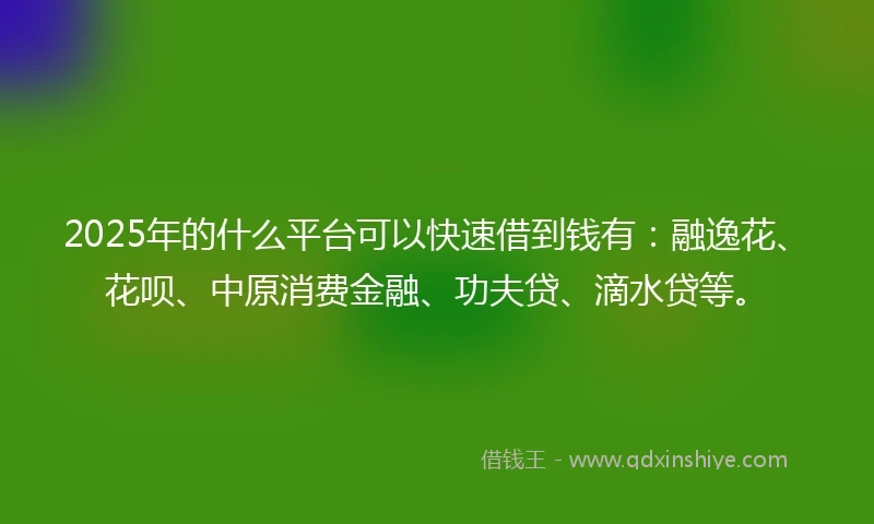 2025年的什么平台可以快速借到钱有：融逸花、花呗、中原消费金融、功夫贷、滴水贷等。