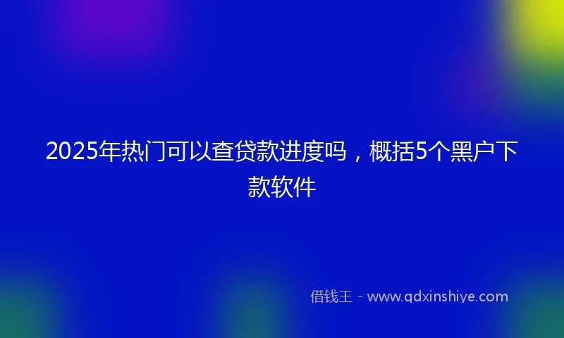 2025年热门可以查贷款进度吗，概括5个黑户下款软件