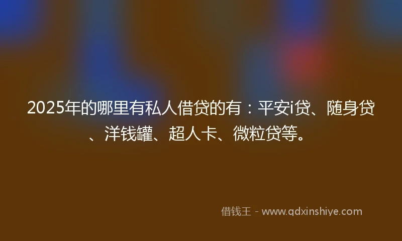 2025年的哪里有私人借贷的有：平安i贷、随身贷、洋钱罐、超人卡、微粒贷等。