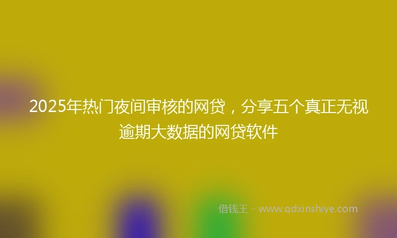 2025年热门夜间审核的网贷，分享五个真正无视逾期大数据的网贷软件