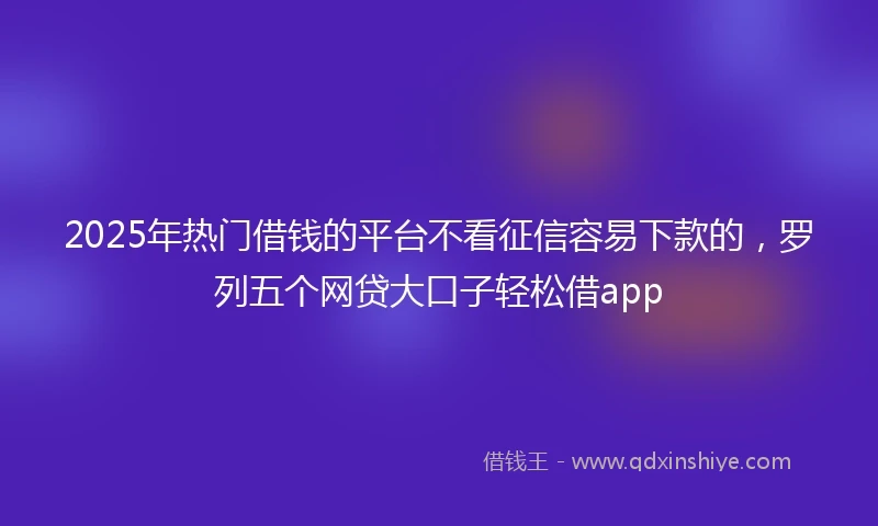 2025年热门借钱的平台不看征信容易下款的，罗列五个网贷大口子轻松借app