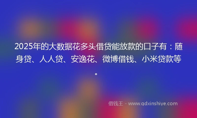 2025年的大数据花多头借贷能放款的口子有：随身贷、人人贷、安逸花、微博借钱、小米贷款等。