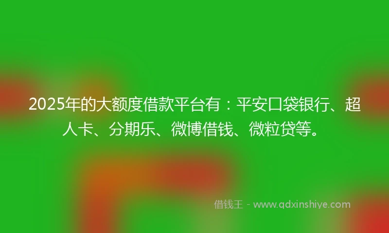 2025年的大额度借款平台有：平安口袋银行、超人卡、分期乐、微博借钱、微粒贷等。