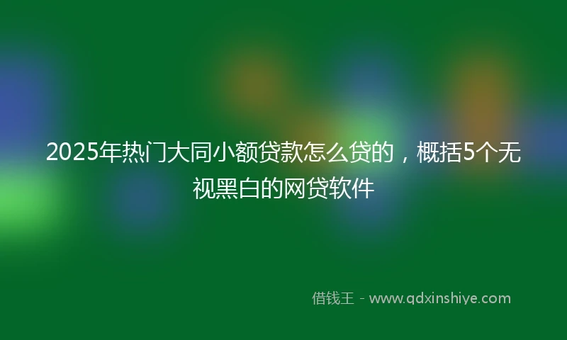 2025年热门大同小额贷款怎么贷的，概括5个无视黑白的网贷软件