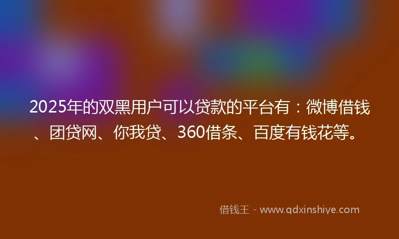 2025年的双黑用户可以贷款的平台有：微博借钱、团贷网、你我贷、360借条、百度有钱花等。