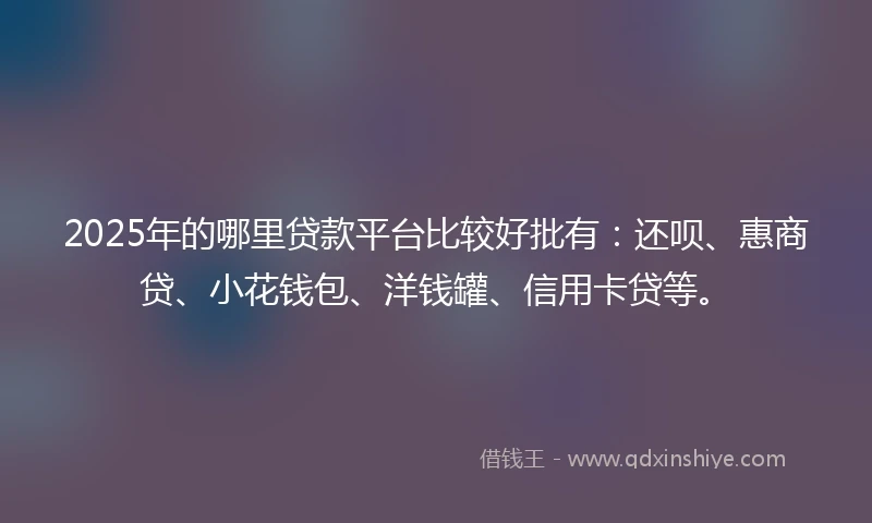 2025年的哪里贷款平台比较好批有：还呗、惠商贷、小花钱包、洋钱罐、信用卡贷等。