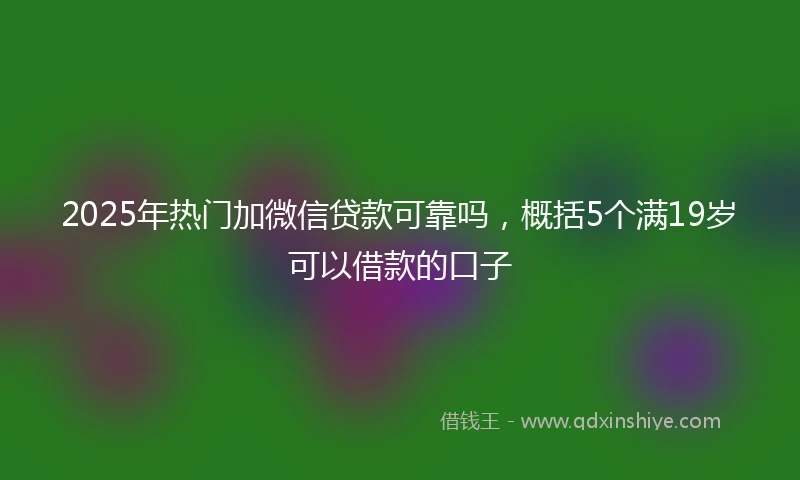2025年热门加微信贷款可靠吗，概括5个满19岁可以借款的口子