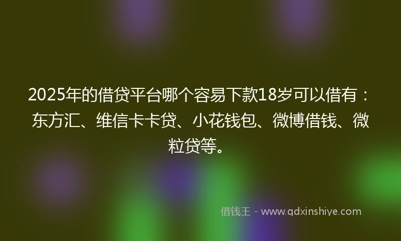 2025年的借贷平台哪个容易下款18岁可以借有：东方汇、维信卡卡贷、小花钱包、微博借钱、微粒贷等。