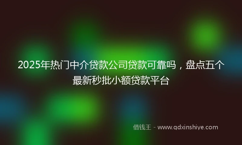 2025年热门中介贷款公司贷款可靠吗，盘点五个最新秒批小额贷款平台