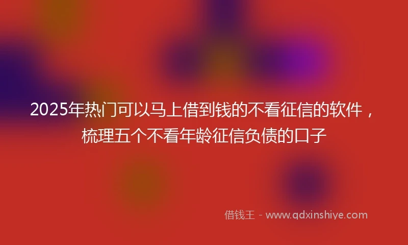 2025年热门可以马上借到钱的不看征信的软件，梳理五个不看年龄征信负债的口子