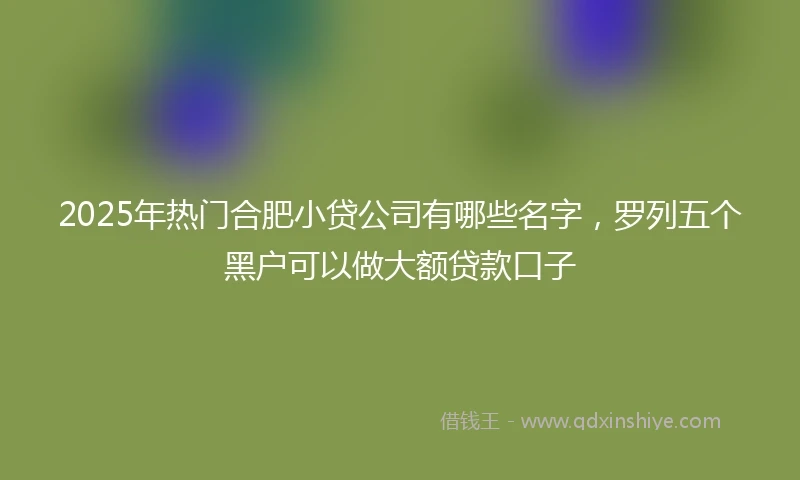 2025年热门合肥小贷公司有哪些名字，罗列五个黑户可以做大额贷款口子