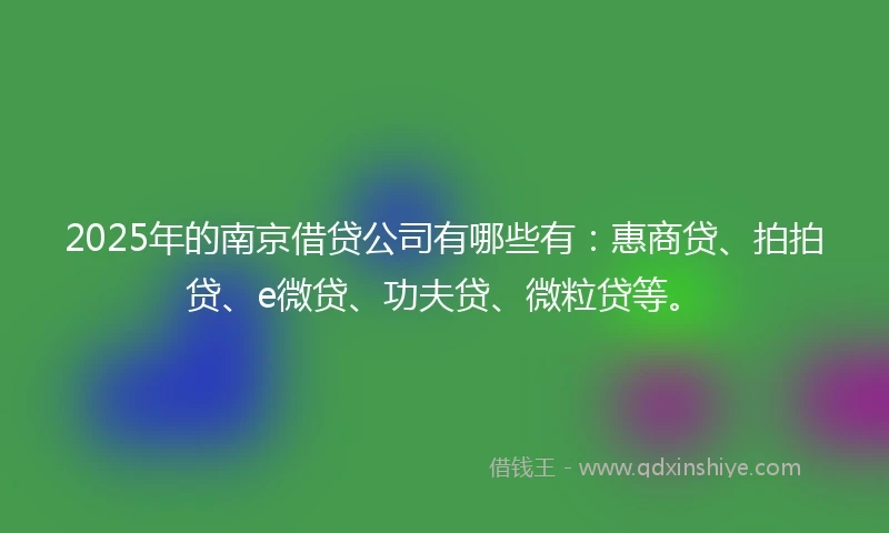2025年的南京借贷公司有哪些有：惠商贷、拍拍贷、e微贷、功夫贷、微粒贷等。