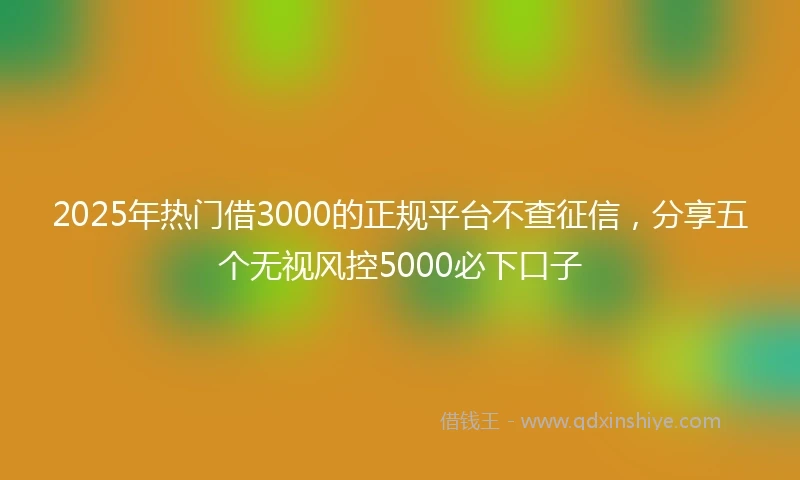 2025年热门借3000的正规平台不查征信，分享五个无视风控5000必下口子