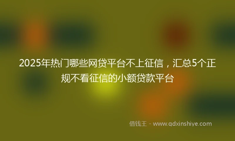 2025年热门哪些网贷平台不上征信，汇总5个正规不看征信的小额贷款平台
