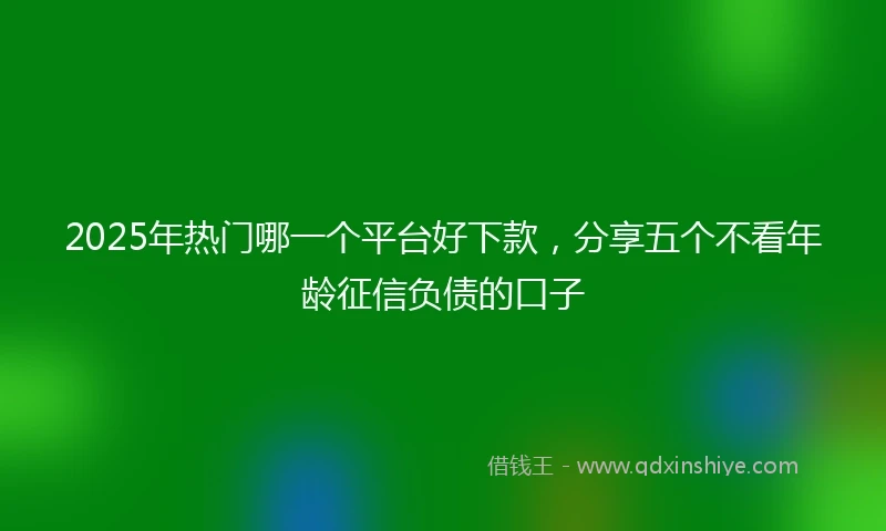 2025年热门哪一个平台好下款，分享五个不看年龄征信负债的口子