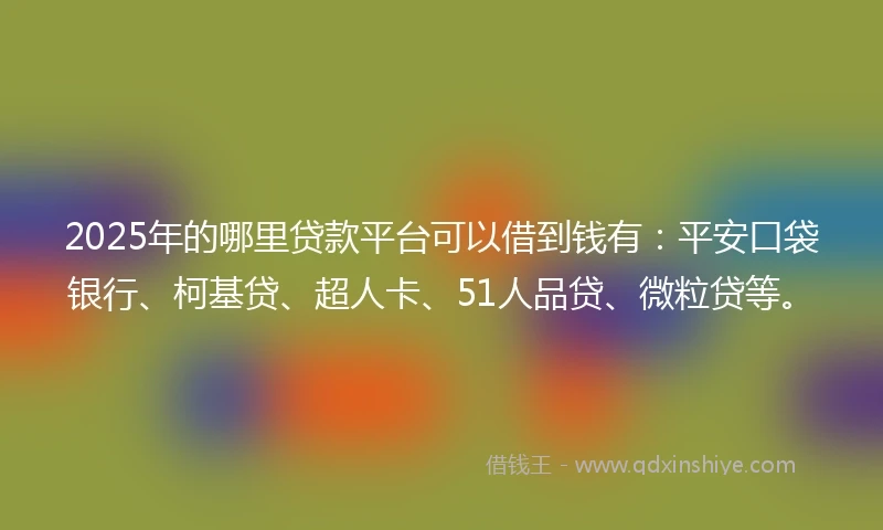 2025年的哪里贷款平台可以借到钱有：平安口袋银行、柯基贷、超人卡、51人品贷、微粒贷等。