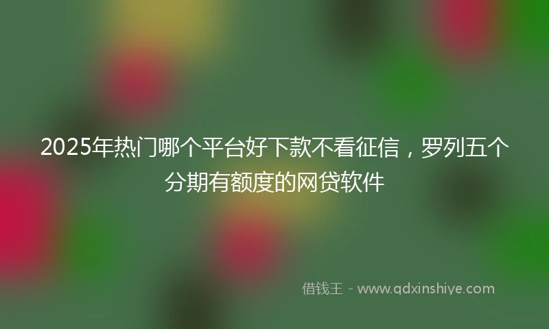 2025年热门哪个平台好下款不看征信，罗列五个分期有额度的网贷软件