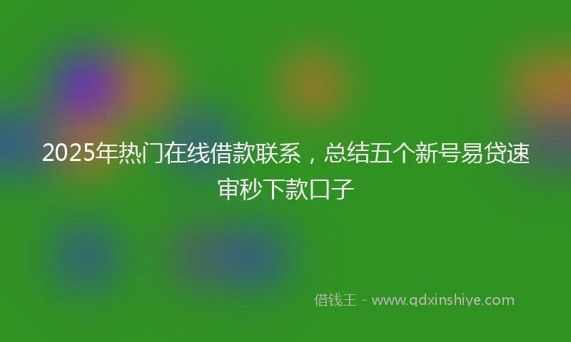 2025年热门在线借款联系，总结五个新号易贷速审秒下款口子