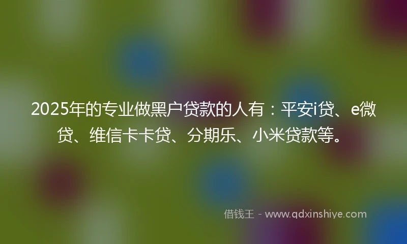 2025年的专业做黑户贷款的人有：平安i贷、e微贷、维信卡卡贷、分期乐、小米贷款等。