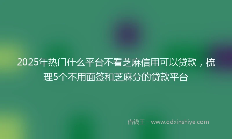 2025年热门什么平台不看芝麻信用可以贷款，梳理5个不用面签和芝麻分的贷款平台