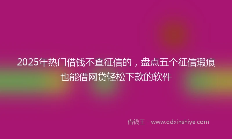 2025年热门借钱不查征信的，盘点五个征信瑕疵也能借网贷轻松下款的软件