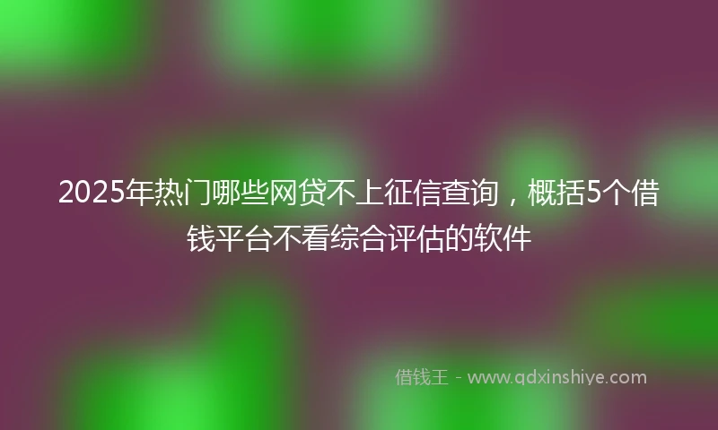 2025年热门哪些网贷不上征信查询，概括5个借钱平台不看综合评估的软件